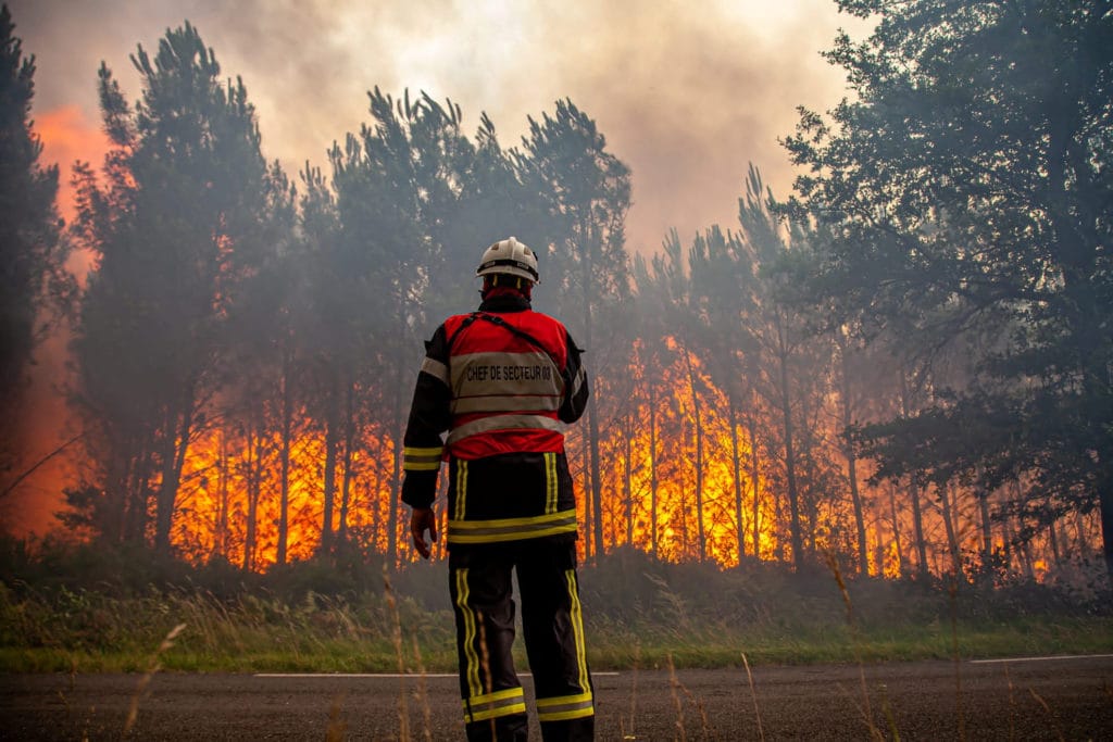 Firefighter watches a forest fire during Europe's heatwave news.